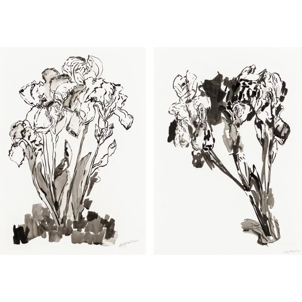 Portrait of Irises I & II (Set of 2) — Judy Shear