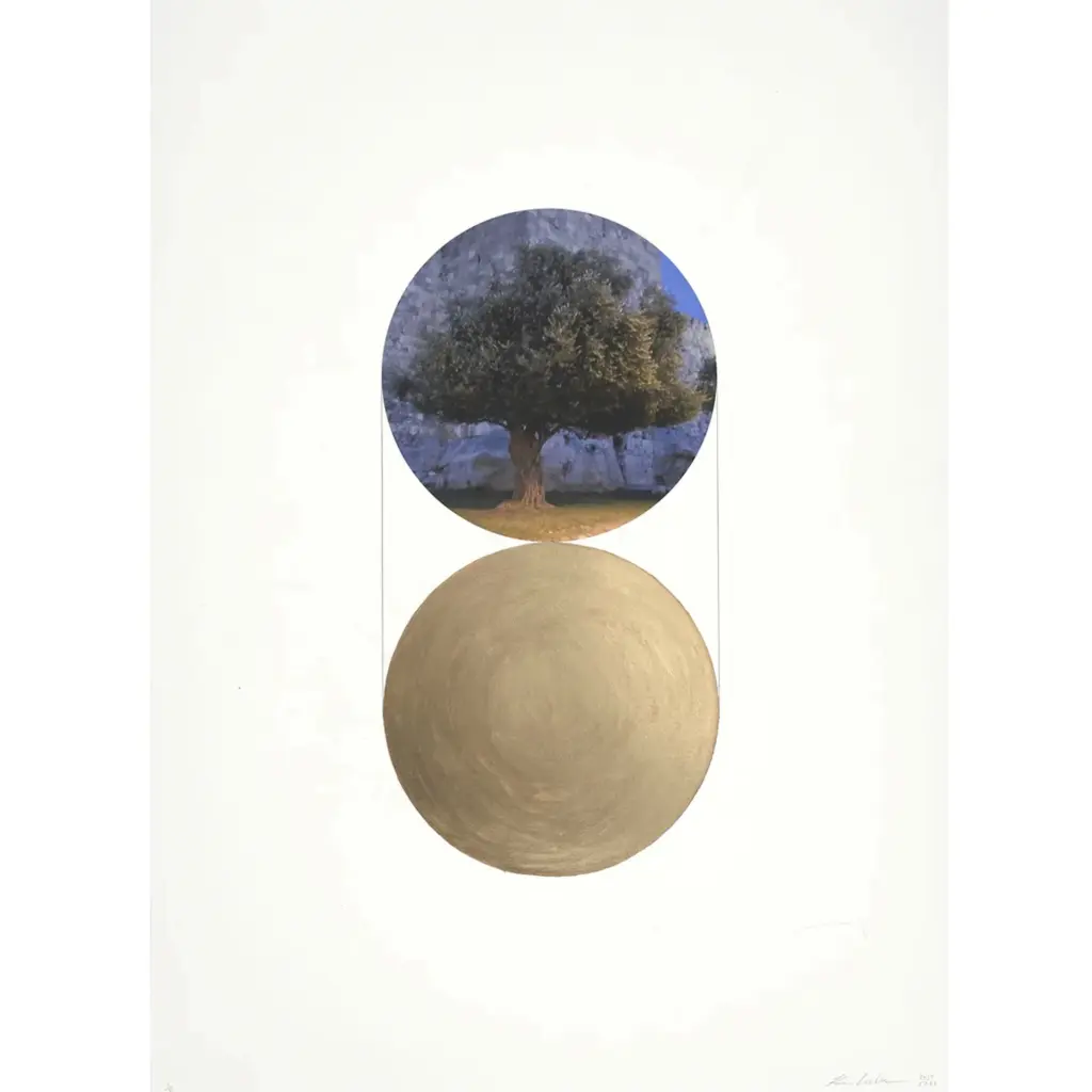 Olive Tree — Kim Lieberman