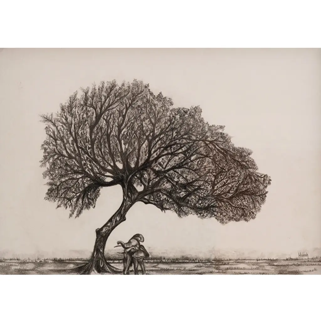 Ndlovu — Hannah Snaid