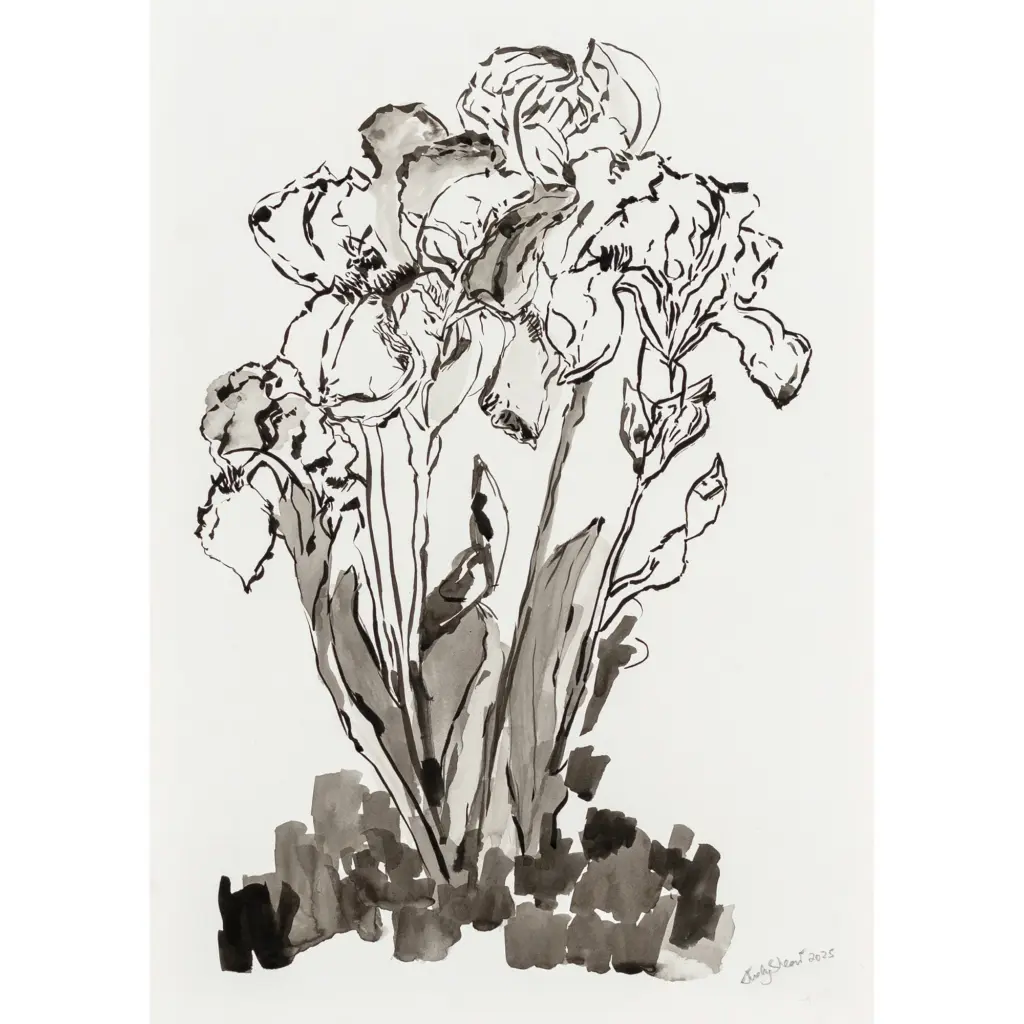 Portrait of Irises I & II (Set of 2) — Judy Shear